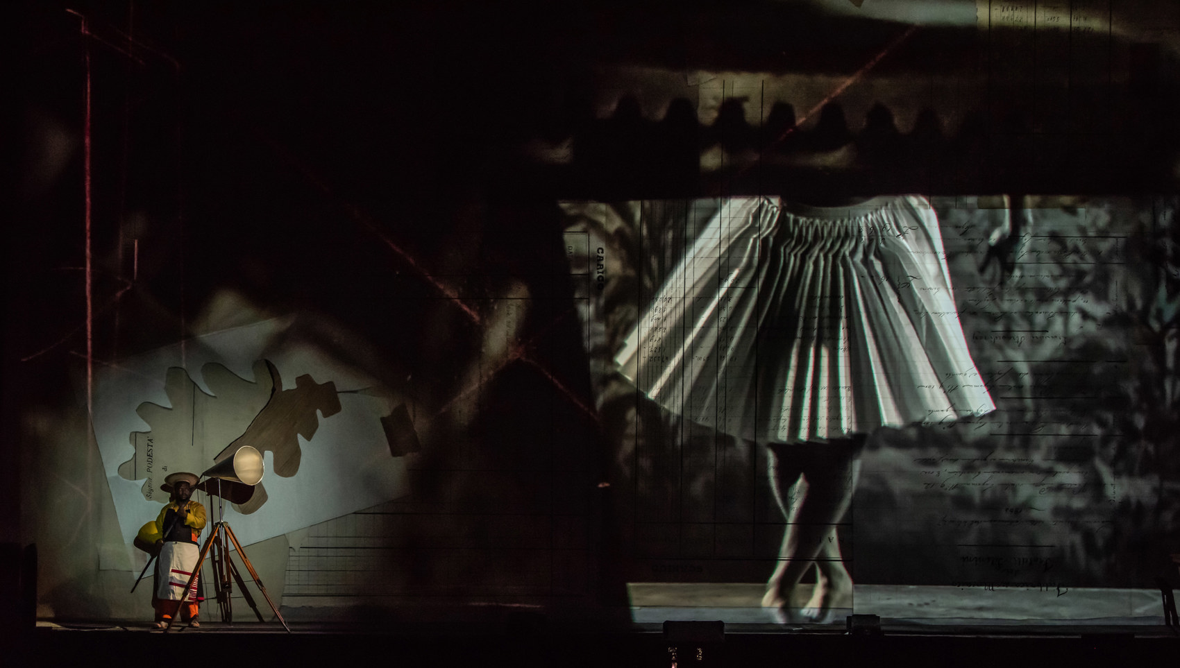 Stella Olivier 126 (1)