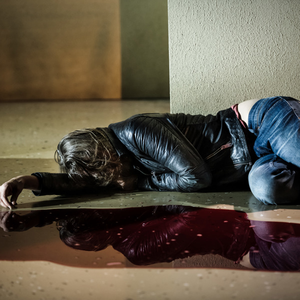 Eva Rexed i Ambulans.