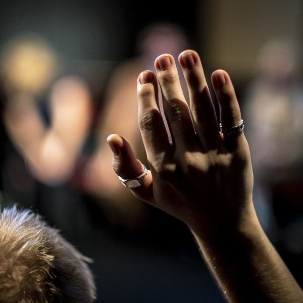 Skapademokrati©Hansmalm 1654