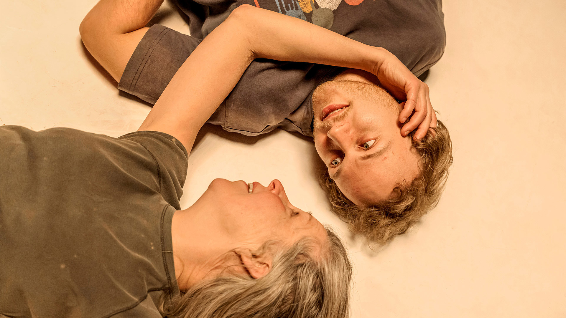 Svindel 7981 Program