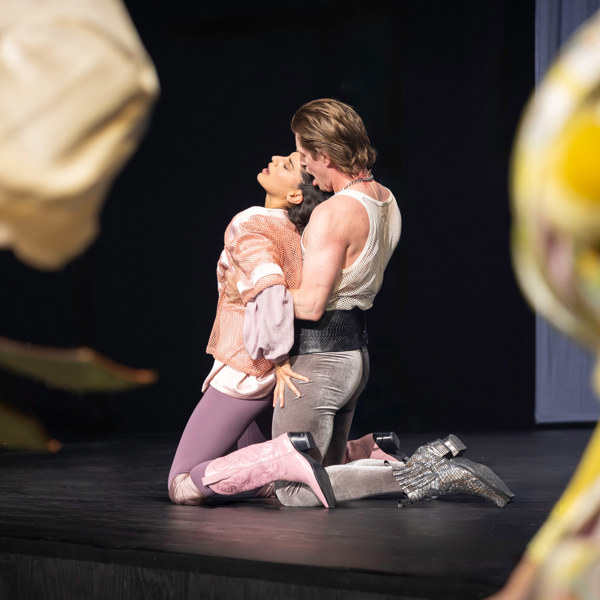 David Book och Sara Shirpey i Så tuktas en argbigga.