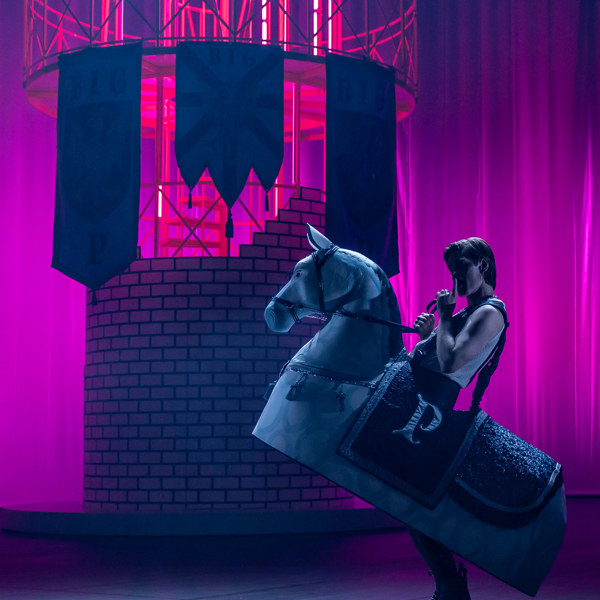 David Book i Så tuktas en argbigga.