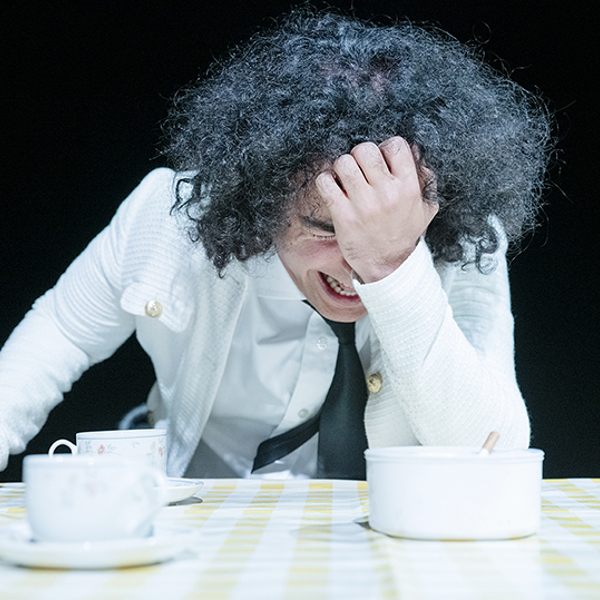 Visomficklevaomvaraliv 9043 808 Liten