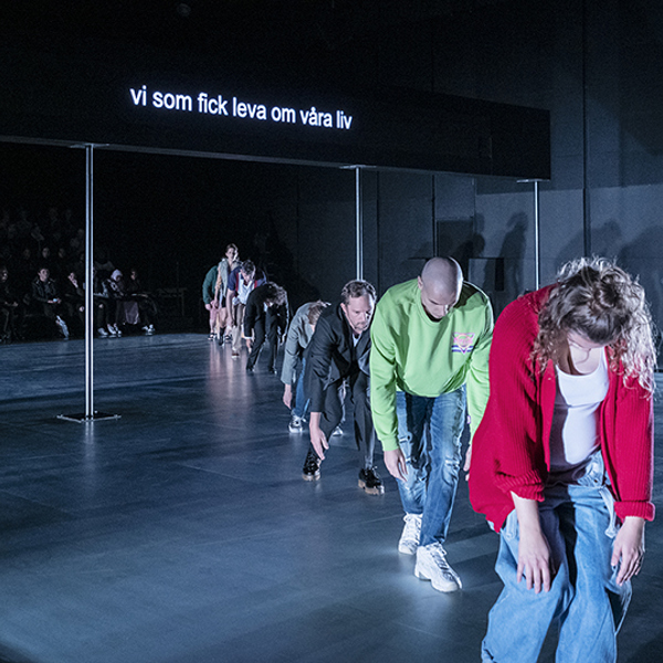 Visomficklevaomvaraliv 8929 808Liten