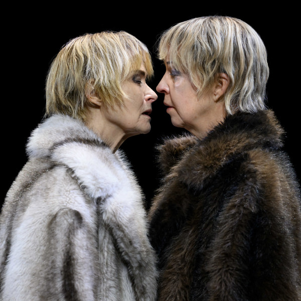 I Bomullsfältens Ensamhet 03499