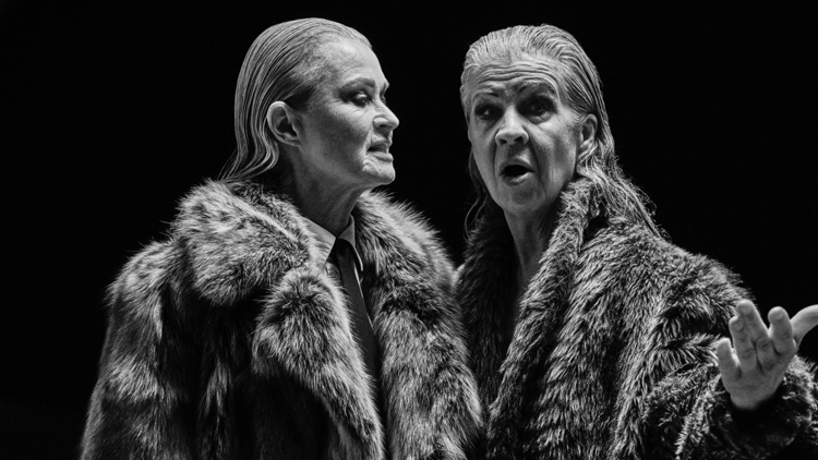 List Bommullsfältens Ensamhet2858