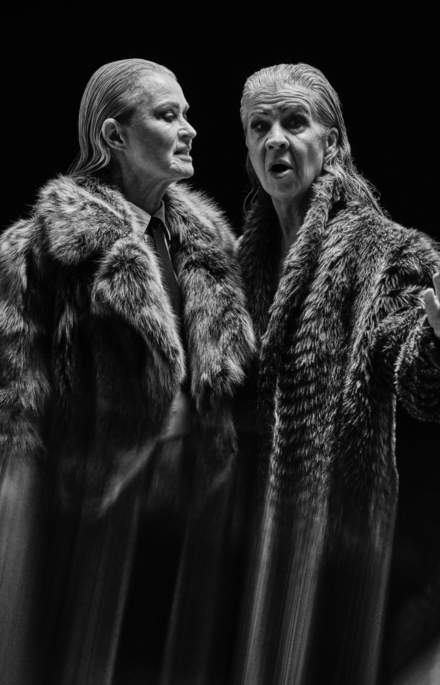 Poster Bommullsfältens Ensamhet2858