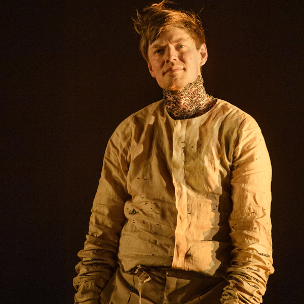 David Book i Vredens druvor.