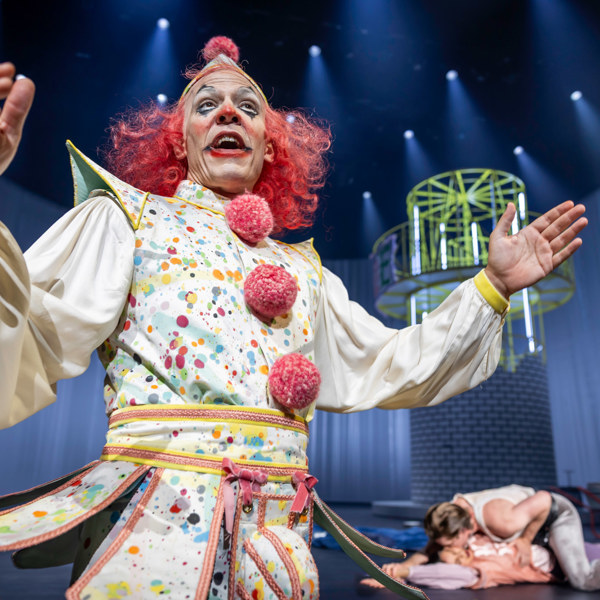 Hannes Meidal i Så tuktas en argbigga.